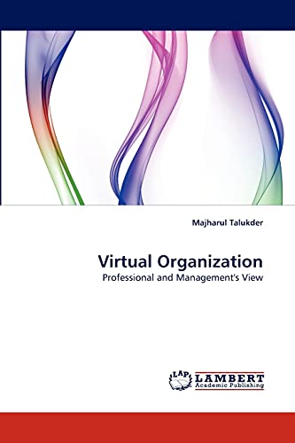Virtual Organization: Professional and Management's View