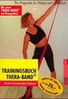 Trainingsbuch Thera-Band, m. Thera-Band u. Übungsplakat