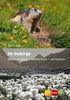 Im Gebirge: Natur erleben - beobachten - verstehen