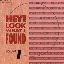 Hey! Look What I Found Vol.1