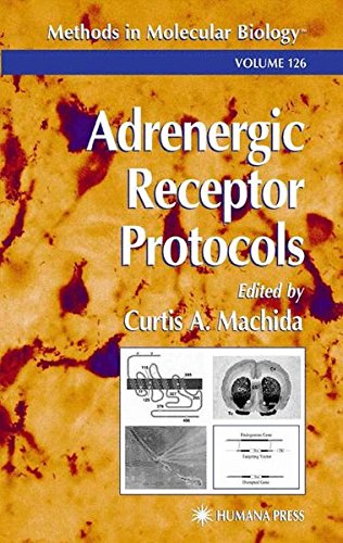 Adrenergic Receptor Protocols (Methods in Molecular Biology)