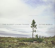 Oldest Living Things in the World