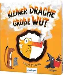 Kleiner Drache Finn: Kleiner Drache, große Wut: Pappebuch über Wut und Gefühle