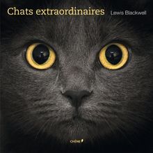 Chats extraordinaires