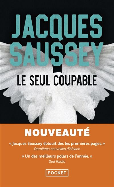 Le seul coupable