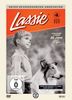 Lassie Collection - Box 5 [4 DVDs]