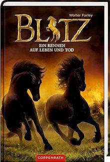 Blitz (Bd. 4): Ein Rennen auf Leben und Tod