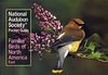 National Audubon Society Pocket Guide to Familiar Birds: Eastern Region (National Audubon Society Pocket Guides)