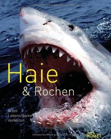 Haie & Rochen