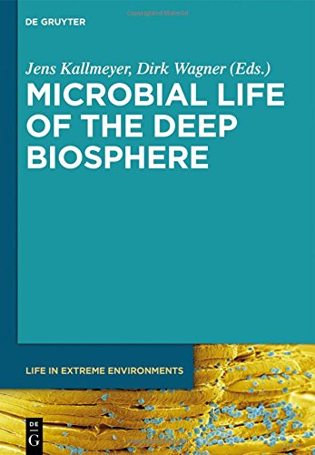 Microbial Life of the Deep Biosphere (Life in Extreme Environments, Band 1)
