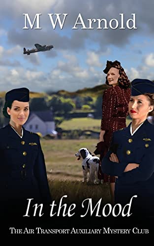 In the Mood (Broken Wings, Band 4)
