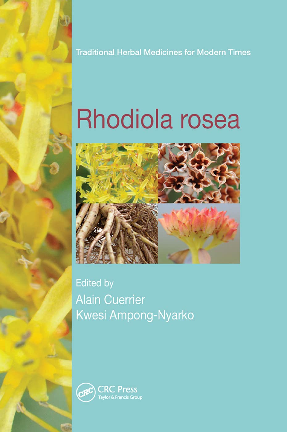 Rhodiola rosea (Traditional Herbal Medicines for Modern Times, 14, Band 14)