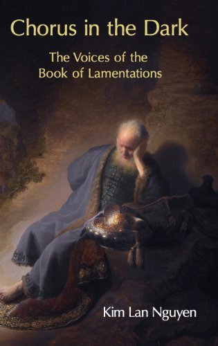Chorus in the Dark: The Voices of the Book of Lamentations (Hebrew Bible Monographs, Band 54)