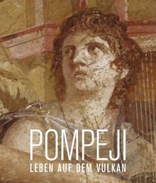 Pompeji. Leben auf dem Vulkan: Katalog zur Ausstellung München / Kunsthalle der Hypo-Kulturstiftung 15.11.2013 - 30.3.2014