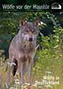 Wolf Magazin 2/2014: Wölfe vor der Haustür
