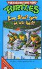 Teenage Mutant Hero Turtles - Eine Stadt geht in die Luft [VHS]