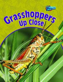 Grasshoppers Up Close (Minibeasts Up Close)