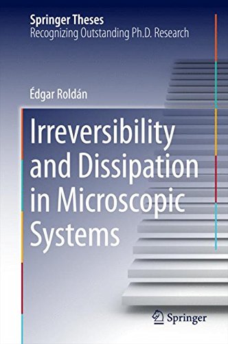 Irreversibility and Dissipation in Microscopic Systems (Springer Theses)