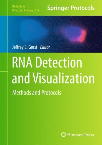 RNA Detection and Visualization: Methods and Protocols (Methods in Molecular Biology)