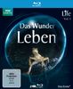 Life - Das Wunder Leben. Vol. 1. Die Serie zum Film "Unser Leben" (Limited Steelbook) [Blu-ray]