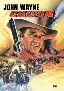 Chisum von Andrew V. McLaglen | DVD | Zustand sehr gut