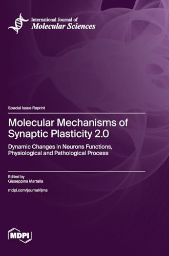 Molecular Mechanisms of Synaptic Plasticity 2.0: Dynamic Changes in Neurons Functions,Physiological and Pathological Process