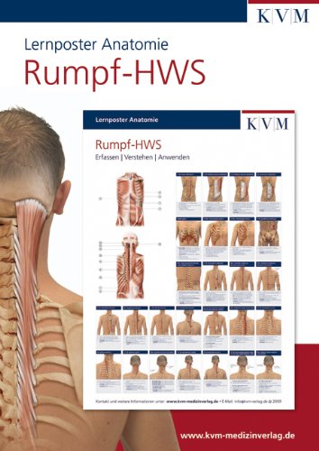Anatomie Mini-Poster „Muskulatur Der Wirbelsäule Produktbild-Vorschau 4