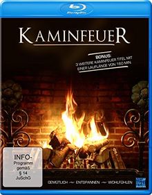 Kaminfeuer 2013 [Blu-ray] von Leimbach, Britta | DVD | Zustand sehr gut