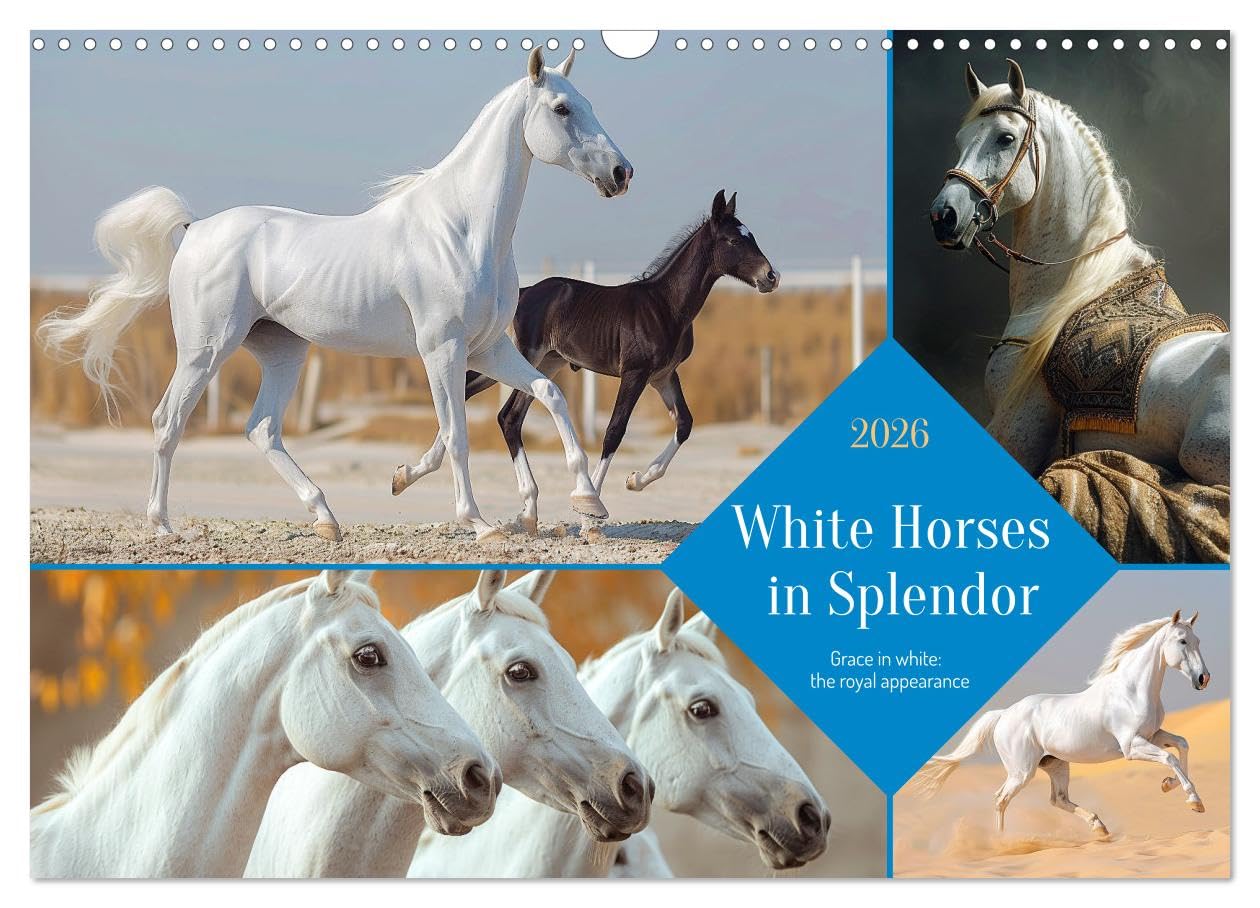 White Horses in Splendor (Wall Calendar 2026 DIN A3 landscape), CALVENDO 12 Month Wall Calendar: Snow-white splendor - a symbol of purity