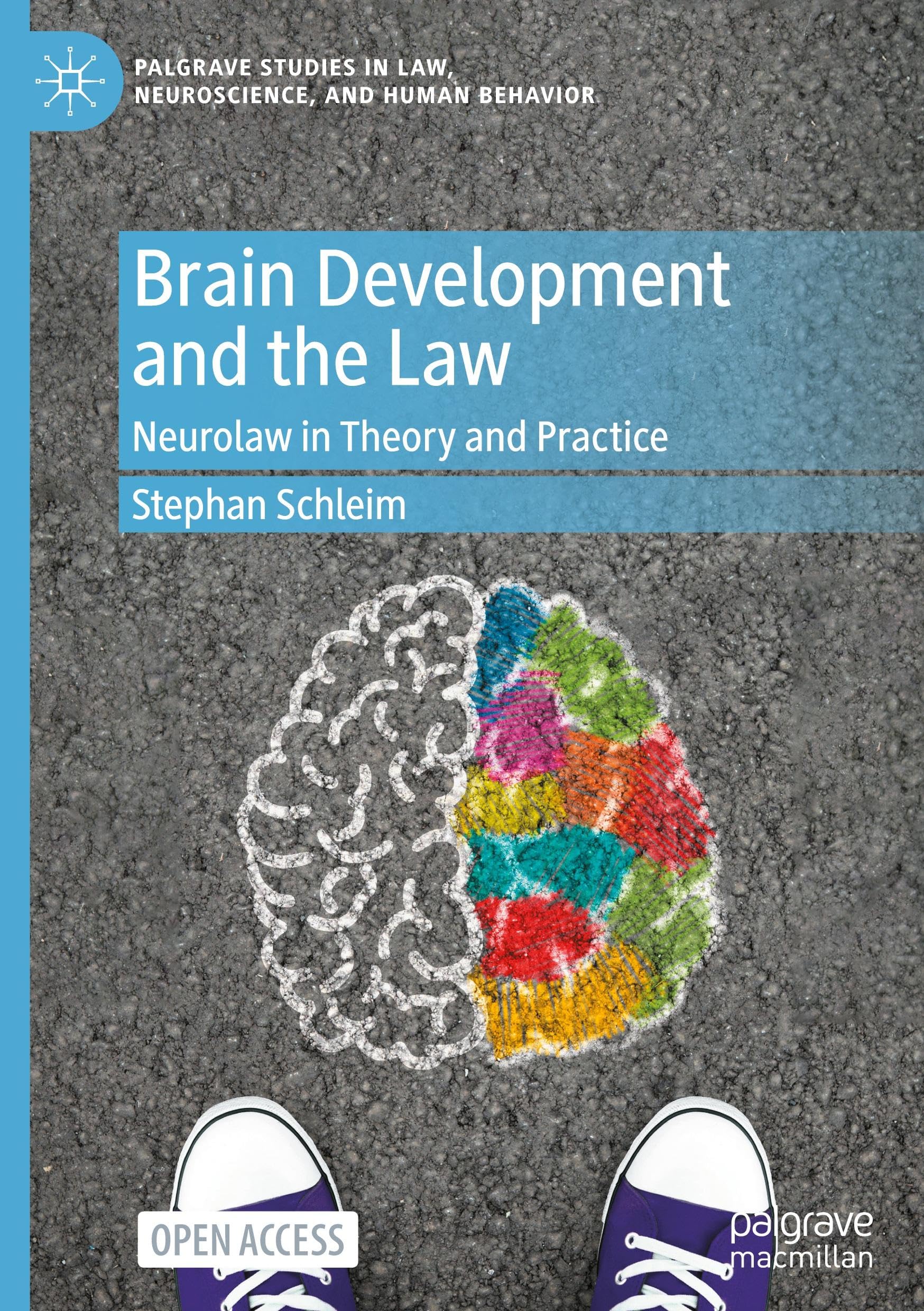 Brain Development and the Law: Neurolaw in Theory and Practice (Palgrave Studies in Law, Neuroscience, and Human Behavior)