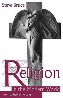 Religion In The Modern World: From Cathedrals to Cults
