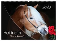 Haflinger-Pferde in Reinzucht (Wandkalender 2023 DIN A2 quer), Calvendo Monatskalender