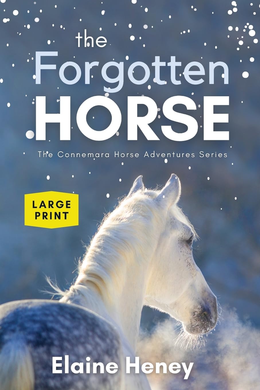 The Forgotten Horse - Book 1 in the Connemara Horse Adventure Series LARGE PRINT