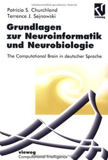 Grundlagen zur Neuroinformatik und Neurobiologie: The Computational Brain in deutscher Sprache (Computational Intelligence)