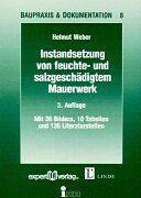 Instandsetzung von feuchte- und salzgeschädigtem Mauerwerk (Baupraxis + Dokumentation)