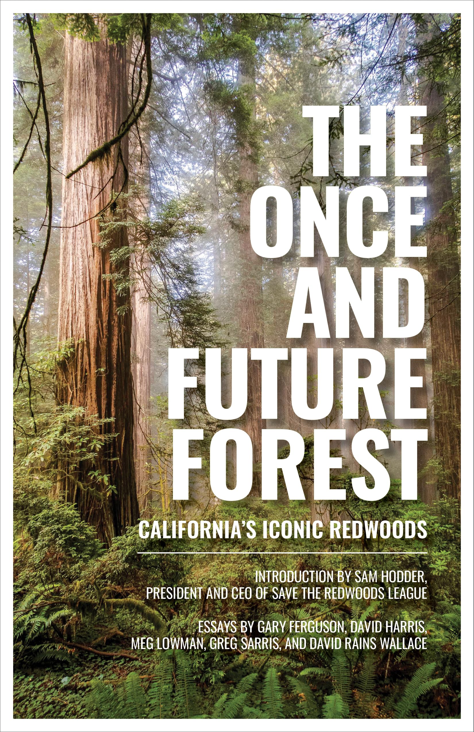 Save the Redwoods League The Once And Future Forest, California's Iconic Redwoods