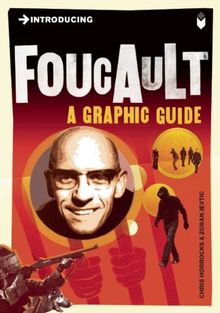 Introducing Foucault: A Graphic Guide (Introducing (Icon Books))