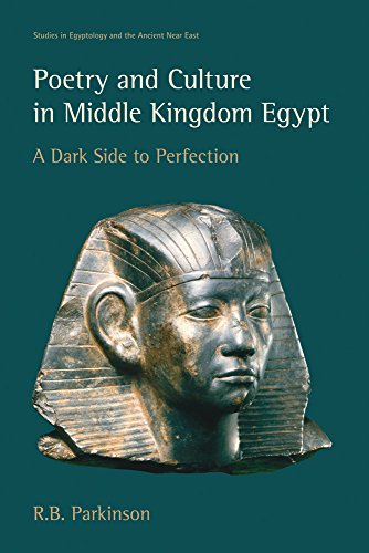 Poetry and Culture in Middle Kingdom Egypt: A Dark Side to Perfection (Studies in Egyptology and the Ancient Near East)