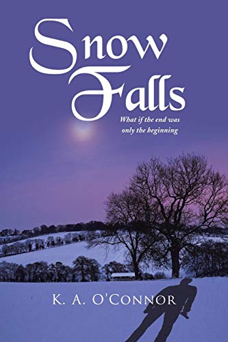 Snow Falls: What If The End Was Only The Beginning: What If the End Was Only Th Beginning