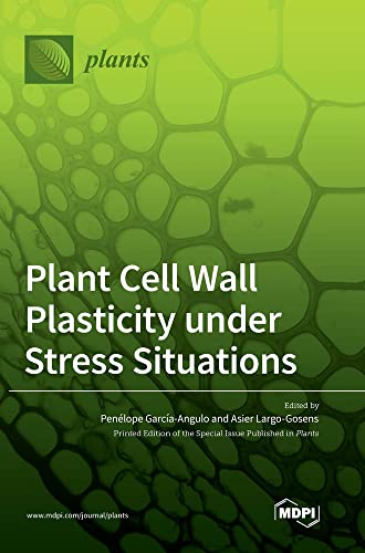 Plant Cell Wall Plasticity under Stress Situations