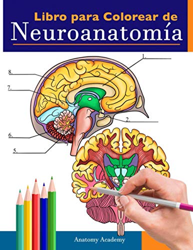 Libro para colorear de neuroanatomía: Libro para colorear detalladísimo de cerebro humano para autoevaluación en la neurociencia | Un regalo perfecto ... de medicina, enfermeras, médicos y adultos