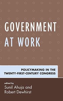 Government at Work: Policymaking in the Twenty-First-Century Congress
