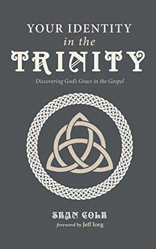 Your Identity in the Trinity: Discovering God's Grace in the Gospel