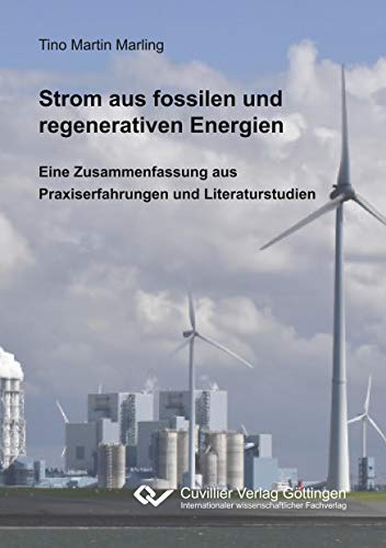 Strom aus fossilen und regenerativen Energien: Eine Zusammenfassung aus Praxiserfahrungen und Literaturstudien