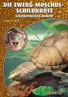 Die Zwerg-Moschusschildkröte: Sternotherus minor (Art für Art)