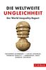 Die weltweite Ungleichheit: Der World Inequality Report 2018