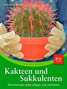 Kakteen und Sukkulenten: Die schönsten Arten pflegen und vermehren