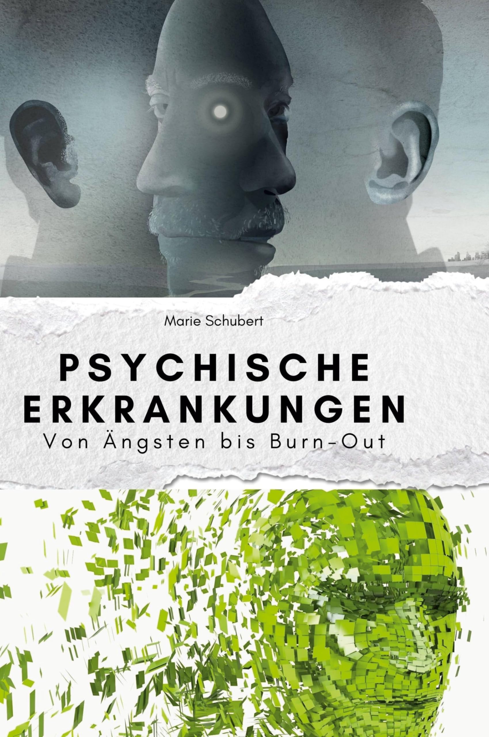 Psychische Erkrankungen: Von Ängsten bis Burn-Out