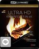 Kaminfeuer (4K Ultra HD) [Blu-ray]