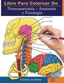 Libro para colorear de Neuroanatomía + Anatomía y Fisiología: 2-en-1 compilación | Libro de colores de autoevaluación para estudiar muy detallado para Estudiar y Relajarse